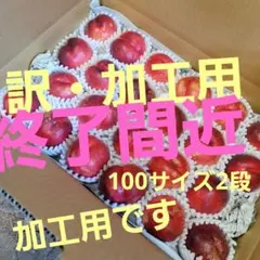訳・加工用 サマークリスタル 終了間近のサムネイル