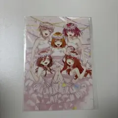 映画 五等分の花嫁 入場者特典 第5弾 EDイラスト A5サイズカード