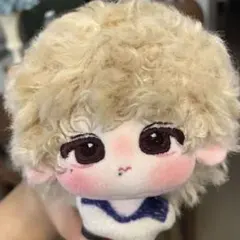 即発送 10cm ジョンハン ぬいぐるみ セブチ SEVENTEEN 0809 - メルカリ