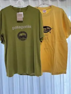 希少2点】信越五岳Patagonia・斑尾高原Tシャツ - メルカリ
