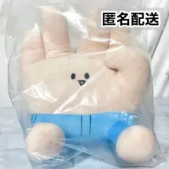 一番くじ 東海オンエア A賞 ピースの二乗のあいつ ぬいぐるみ