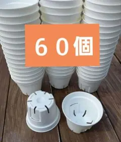 ★Sポット60★ 6cm スリット鉢 白 プラ鉢 60個