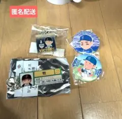 横浜DeNAベイスターズ 侍ジャパン グッズセット