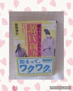 源氏物語 梅野博行著 知るって、ワクワク。