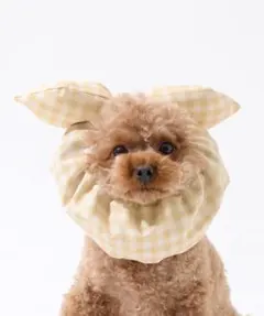 Item thumbnail for item 35649828-a992-46e6-bbf6-539616d2d9c6