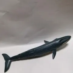 アニア　シロナガスクジラ　廃盤のサムネイル