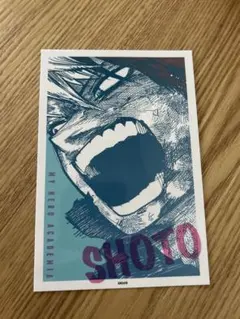 僕のヒーローアカデミア 轟焦凍