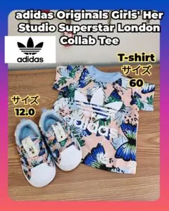 レア柄 adidas ベビー上下セット 新品Tシャツ60＋美品スニーカー12cm