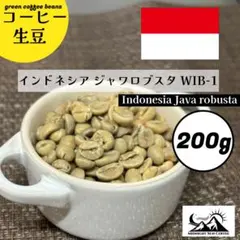 コーヒー生豆　インドネシア ジャワロブスタ WIB-1 200gのサムネイル