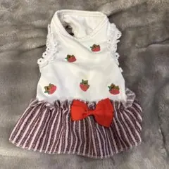 じゅうsea様専用