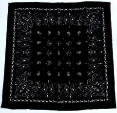 マニプリ スカーフ