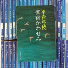 平岩弓枝 御宿かわせみシリーズ33冊