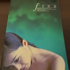 fizz酒井法子写真集　ポスター付き
