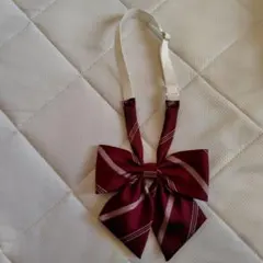 EASTBOY ワインレッド ストライプ リボンタイ