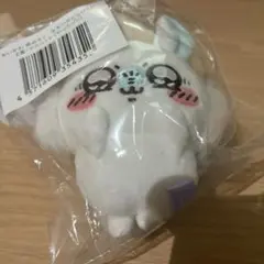 ちいかわ　モモンガだらけくじ　E賞(やったゾ!!)