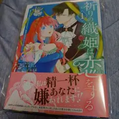 バハムートラグーン カーナ騎士団 小説（文庫本） - メルカリ