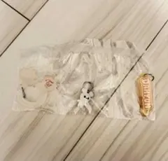 TWICEアクリルカラビナフロッキー