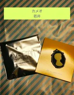 Item thumbnail for item 96de2dd3-9640-4720-910c-b56262542f94