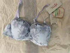 かめかめこ様専用 トリンプ 天使のブラ ライトブルー・ベージュ