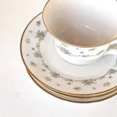 Item thumbnail for item bbc93e7b-190e-4e34-8386-53d31eb6b4a9