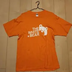 Item thumbnail for item 023bf0f7-5418-499f-87e6-797bd6c8601c