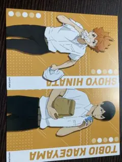 ハイキュー ポストカード&缶バッジ