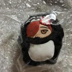 Crazy Raccoon☆フレンズ☆Arisakaaa☆ありさか☆ぬいぐるみ