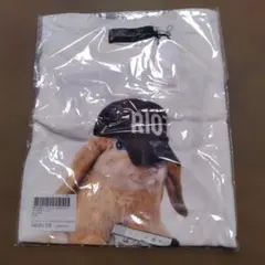 Item thumbnail for item 54c4bd3a-d911-4c25-a8b5-77ada3b0b79c