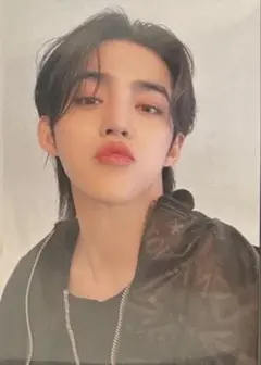 SEVENTEEN セルカ トレカ S.COUPS follow