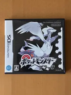 【箱・説明書付き】DS ポケットモンスター ブラック ポケモン BW