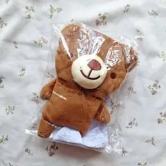 전자레인지에 따뜻한 쿠마민을 데우세요