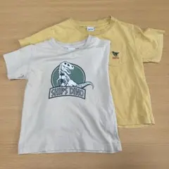 SHIP シップス キッズ Tシャツ 100cm 恐竜 DINOのサムネイル
