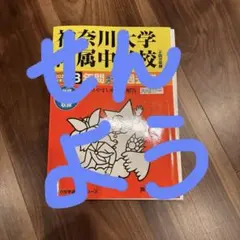 Item thumbnail for item e16e2d75-8e12-4cca-9594-bc80255b91dc