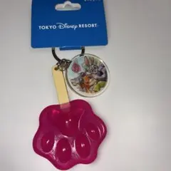 ズートピア アイスキャンディー キーチェーン 東京ディズニーリゾート