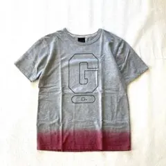 90s【希少】【GDC】 グランドキャニオン Gロゴ Tシャツ L