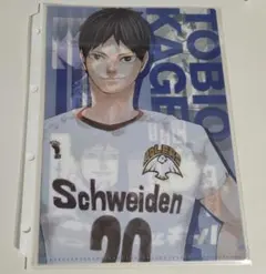 ハイキュー!! 上海限定 クリアファイル 影山