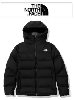 THE NORTH FACE ザ ノースフェイス ビレイヤーパーカ XS