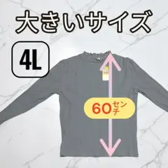 4Lサイズ 長袖トップス