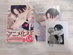 パーフェクトアディクション4 美山薫子先生