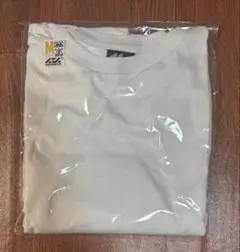 Item thumbnail for item 19fd1d72-b0e2-4b5a-8c75-95cf2368b757