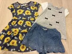 anyfam 120 夏セット