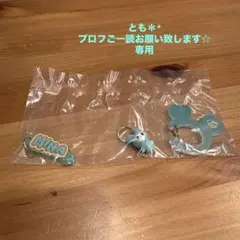 TWICELOVELYS アクリルカラビナフロッキーマスコット