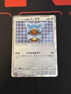 ポンチョを着たイーブイ（グレイシア） PROMO