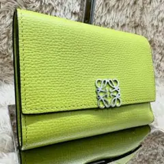✨極美品✨】ロエベ アナグラム バーティカルウォレット ライム 
