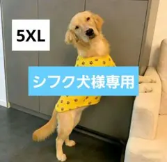 【新品未使用】犬用 肉球柄シャツ 5XL イエロー 中型犬 大型犬 夏 薄地のサムネイル