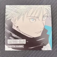 SaNaruhana_様 リクエスト 2点 まとめ商品