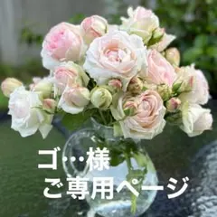 ゴ…様ご専用ページのサムネイル