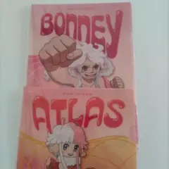 一番くじ ワンピース クリアファイル＆ステッカーセット 3枚