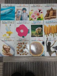 Item thumbnail for item 3ea58a2e-3c13-4720-a99f-8d095669bd7e