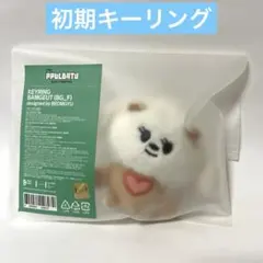 公式TXT ボムギュ　プルバトゥ バムグッ・キーリング 初期　新品未使用